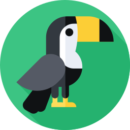 toucan Icône