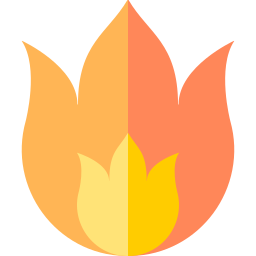 Fire icon