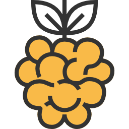 Raspberry icon