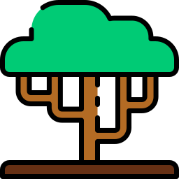 Acacia icon