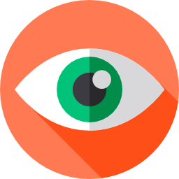 Eye icon