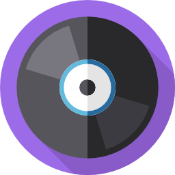 Vinyl icon