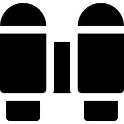 Binoculars icon