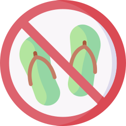 Flip flops icon