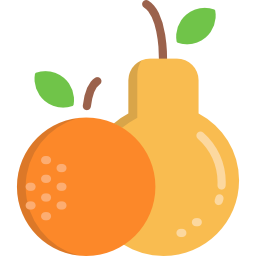 Fruits icon