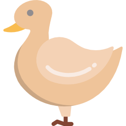 Duck icon