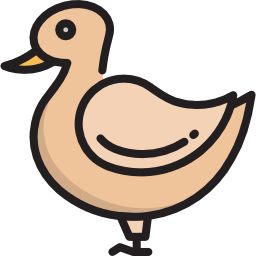 pato Ícone