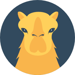 Camel icon