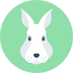 Rabbit icon