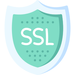 ssl icon