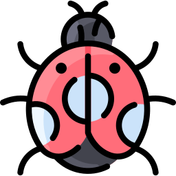 Ladybug icon