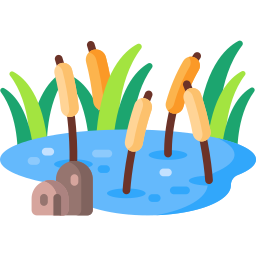 Pond icon