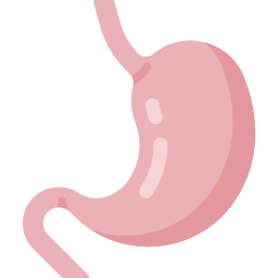 Stomach icon