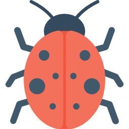 coccinella icona