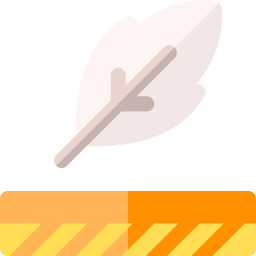 Feather icon