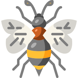 Bee icon