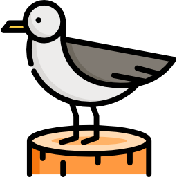 möwe icon