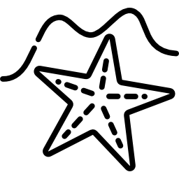 Starfish icon