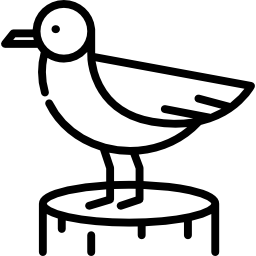 Seagull icon