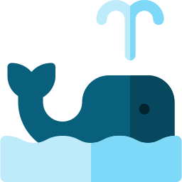 Whale icon