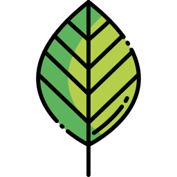 Leaf icon