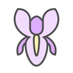 Iris icon