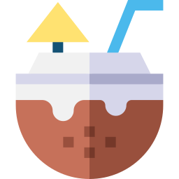 Coconut drink icon