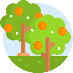 Fruit tree icon