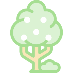 Fruit tree icon