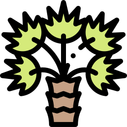 Palm tree icon