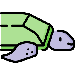 Turtle icon