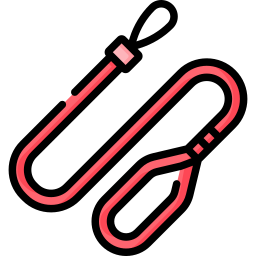 Leash icon