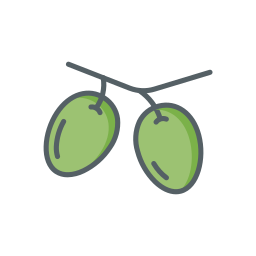 Olives icon