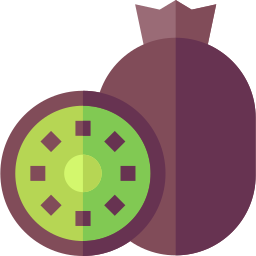 kiwi icon