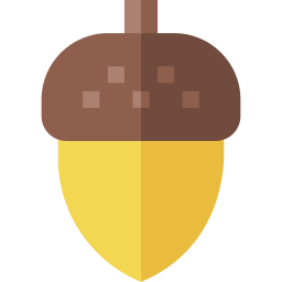 Acorn icon