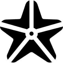 Starfish icon