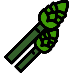 Asparagus icon