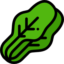 Cabbage icon