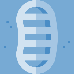 Footprint icon