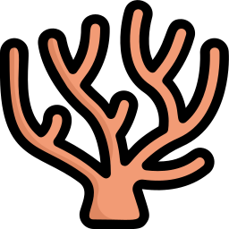 Coral icon