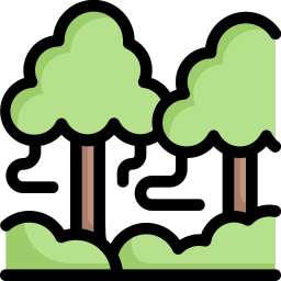 Rainforest icon