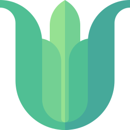 Aloe vera icon