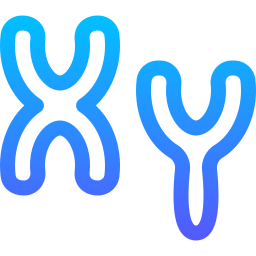 chromosomen icon