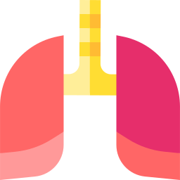 Lungs icon