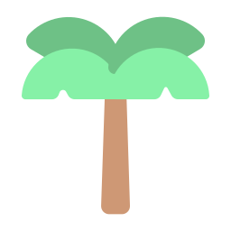 palm icoon