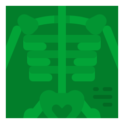 Skeleton icon