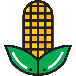 Corn icon