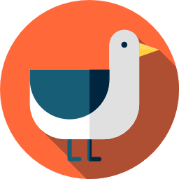 möwe icon