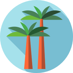 Palm tree icon