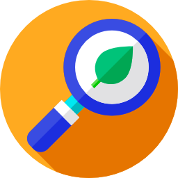 Search icon